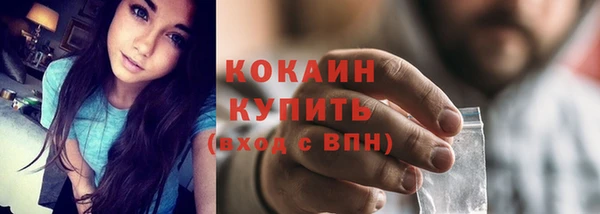 mix Ельня